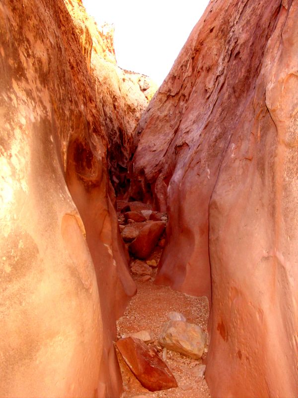 04160302LittleWildHorse (1111)